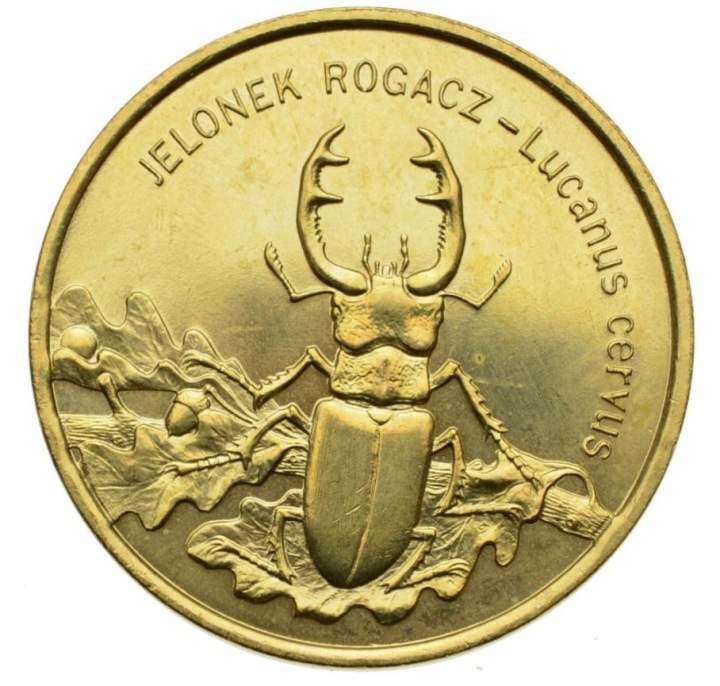 Moneta 2 zł - Jelonek rogacz